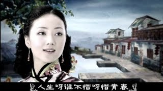 天涯歌女  张燕 MTV The Wandering Songstress  Zhang Yan [upl. by Ecienahs]