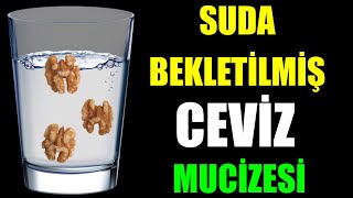 SUDA BEKLETİLMİŞ CEVİZ MUCİZESİ [upl. by Bohlin872]