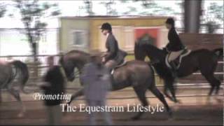 Showing Performance Horses  CW Dansin In The Dark  Half Arabian Horse [upl. by Braynard]