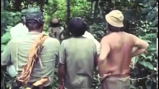 Uncontacted Tribes british Documentary part 5 [upl. by Zaob]