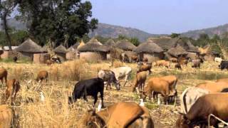 Laminingbè Bayo  Ourémbaya musique traditionnelle maninka [upl. by Reviere274]