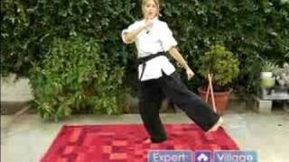 Koden Kan Karate Moves for Beginners  Back Heel Stomp Kick in Koden Kan Martial Arts [upl. by Anuqahs390]