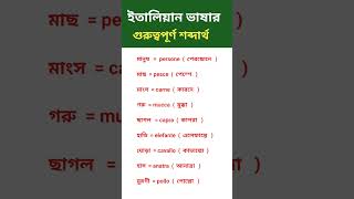 ইতালিয়ান ভাষার গুরুত্বপূর্ণ শব্দার্থ বলা শিখুন [upl. by Eirrahs]