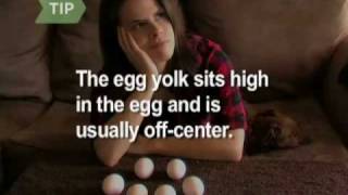 How to Balance an Egg on the Vernal and Autumnal Equinox [upl. by Hada]