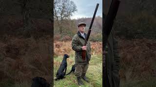 Driven Shooting with Labrador Retriever peg dogs One from last season gundogtraining shooting [upl. by Lertnahs]