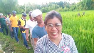 tour organic farming at hygeia integrameds centerpatin ay prosperidad agusan del sur 😍🥰 [upl. by Alyel]