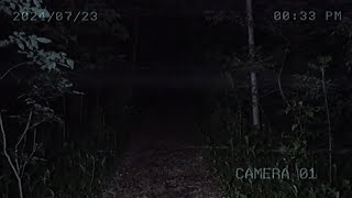 4 Most Creepy Forest Encounters Caught On Camera Camping Gone Wrong [upl. by Niac]