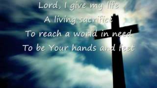 Life Song  Casting Crowns [upl. by Jean-Claude324]