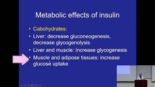 Insulin Effects on Carbohydrate amp Lipid Metabolism Metabolism Made Easy [upl. by Nnylear707]