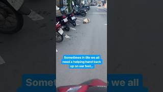 This overfed and sick street dog was down but not out You got this Cindy Crawford rescuedogs dog [upl. by Behah]