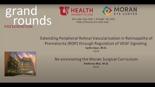 Extending Peripheral Retinal Vascularization in ROP Reenvisioning the Moran Surgical Curriculum [upl. by Henarat]