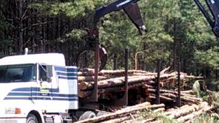 Logging Loading Pulpwood [upl. by Grath]