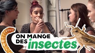 ON CUISINE DES INSECTES  DÉGUSTATION  avec Sophie Riche et Pastel [upl. by Dibrin]