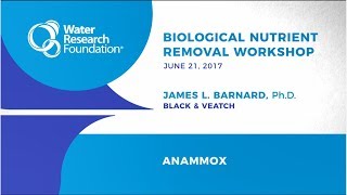 Biological Nutrient Removal Workshop Anammox [upl. by Yrellav]