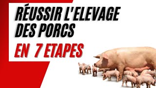 Comment Bien Débuter lElevage des Porcs en 7 Etapes [upl. by Essa]