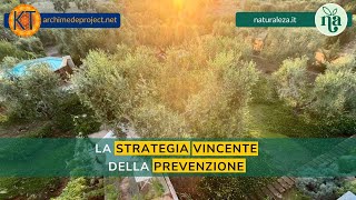 La strategia vincente della prevenzione [upl. by Auof]