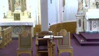 Mass 16th Sunday of Ordinary Time by Fr Henry Smolenaars [upl. by Blunt]