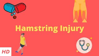 Hamstring injury Causes Signs and Symptoms DIagnosis and Treatment [upl. by Kaya]