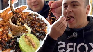 Probando INSECTOS como el Alacrán 🦂  Escarabajos 🪲 Gusanos de maguey🪲  hormigas 🐜 y chapulines 🦗 [upl. by Atig]