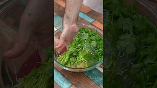 Sabías que si pones el cilantro en agua fría con hielo [upl. by Itraa886]