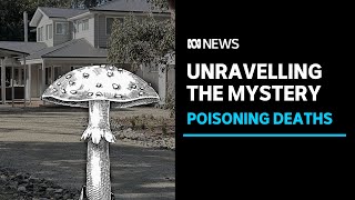 Leongatha deaths Investigators await toxicology report over suspected mushroom poisoning  ABC News [upl. by Niveek]