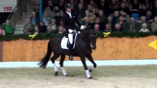 Blue Hors Dreamline Vechta 2016 [upl. by Valsimot300]