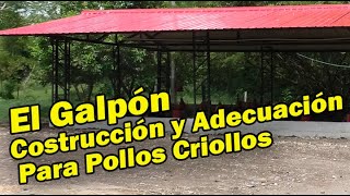 EL GALPÓN CONSTRUCCIÓN Y ADECUACIÓN PARA POLLOS CRIOLLOS [upl. by Yrollam]