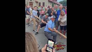 Tiger Tug of War at Roosevelt Park Zoo watch who won [upl. by Iramat]