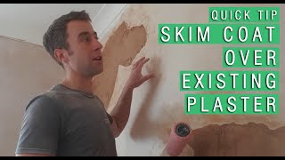 QUICK TIP  Skim Coat over Existing Plaster use PVA first [upl. by Clellan]