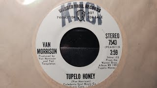 1972  Tupelo Honey  Van Morrison  PROMO  45 RPM [upl. by Marcos]