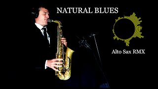 NATURAL BLUES  Moby  Alto Sax RMX  free score [upl. by Meehar380]