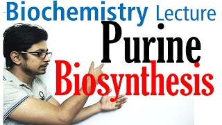 Purine biosynthesis [upl. by Arne402]