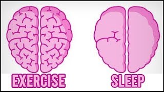 How Exercise Affects Your Brain [upl. by Aryajay]