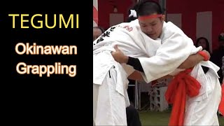 Tegumi Okinawan Grappling  The Shotokan Chronicles [upl. by Nah490]