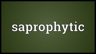 Saprophytic Meaning [upl. by Lati]