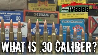 Firearms Facts 30 Caliber Explained [upl. by Mordecai]