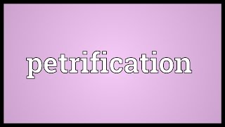 Petrification Meaning [upl. by Dloraj706]