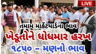 kapas na bhav  30072024  કપાસના ભાવ2024  Information about cotton crop price  Commodity Trend [upl. by Elsilrac655]