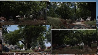 Skyrim Blubbo Aspen Replacer and Folkvangr  Grass and Landscape Overhaul SE [upl. by Neik]