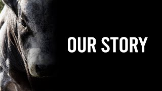 Our Story [upl. by Odama]