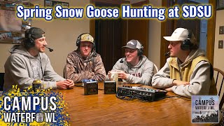 Spring Snow Goose Hunting Tactics Insights amp Adventures at SDSU [upl. by Anawed430]