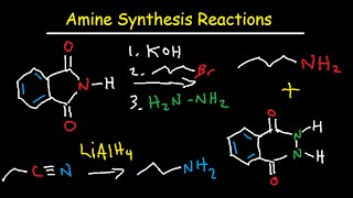 Amine Synthesis Reactions Organic Chemistry  Summary amp Practice Problems [upl. by Tara]