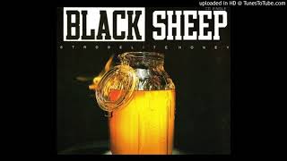 Black Sheep  Strobelite Honey David Morales Yes We Did Mix [upl. by Akena]