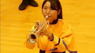 Japanese marching Band is absolutely incredible ☺ [upl. by Eniamerej533]