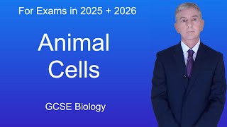 GCSE Biology Revision quotAnimal Cellsquot [upl. by Marchelle]