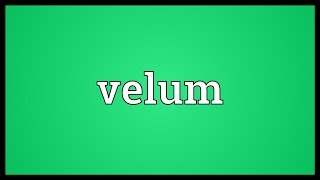 Velum Meaning [upl. by Ahsitam508]