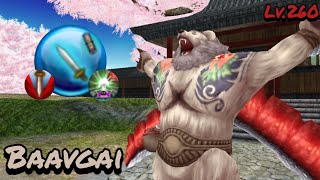 Solo Baavgai 寶蓋熊  Lv260  0045  Toram Online [upl. by Seuqcaj]