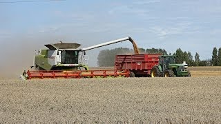 Moisson 2011 Claas Lexion 770 Terra Trac  wheat harvest [upl. by Fabrice386]