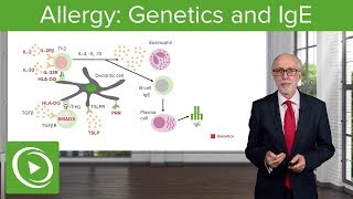 Allergy Genetics and IgE – Immunology  Lecturio [upl. by Drofnelg846]