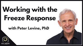 Working with the Freeze Response with Peter Levine PhD [upl. by Magdala]